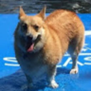 Meet your Posher, Jay